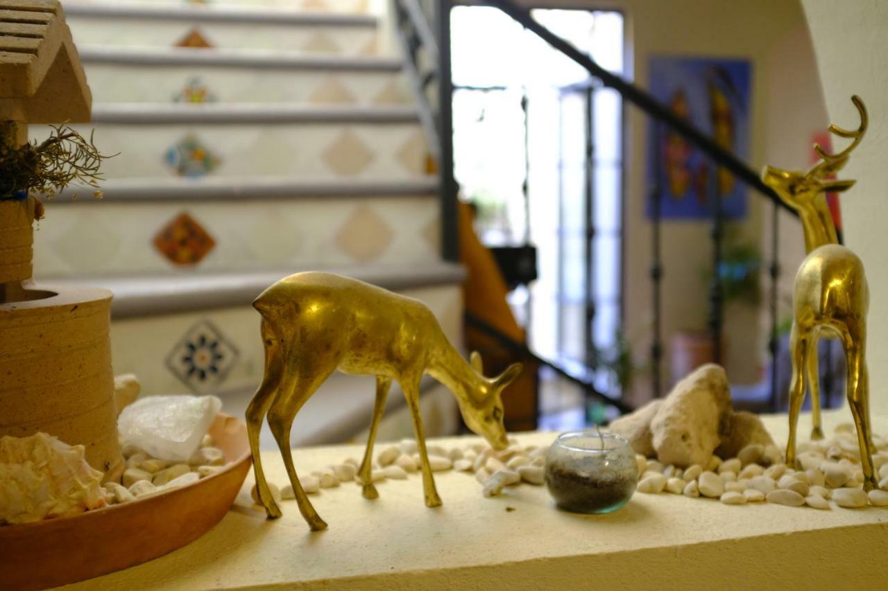 Posada Del Pozo San Miguel de Allende Eksteriør billede