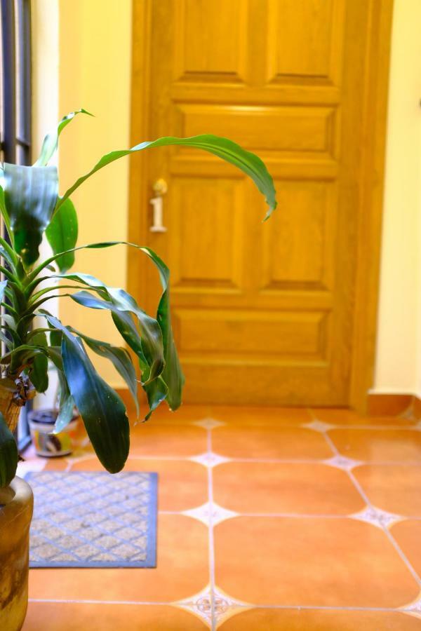 Posada Del Pozo San Miguel de Allende Eksteriør billede